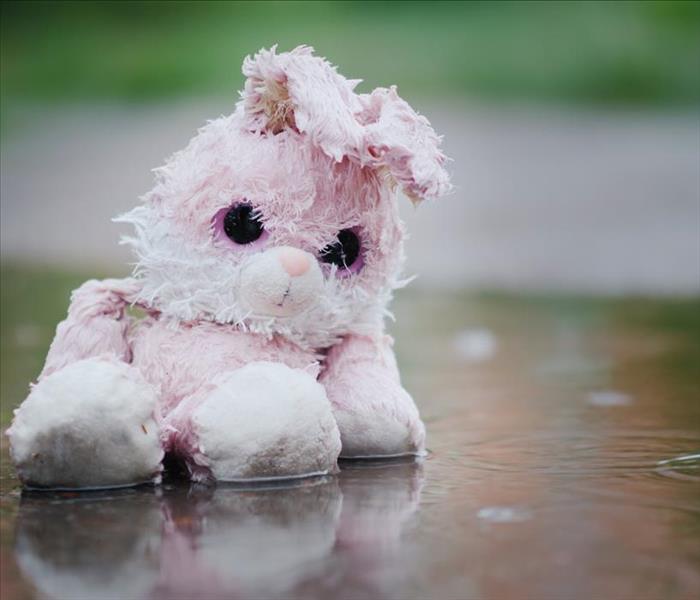 Image of a teddy bear with water damage. 